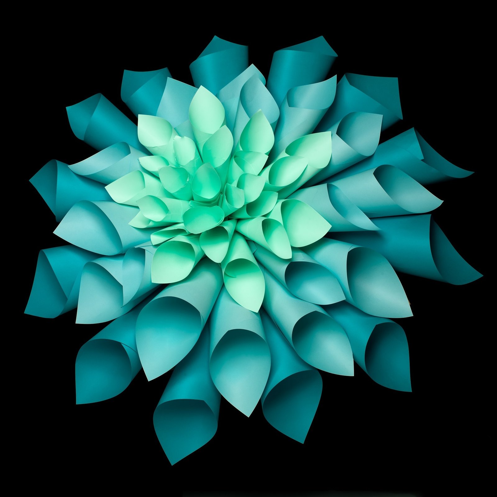 abstract image of origami flower shape made out of rolled sheets of paper on black background